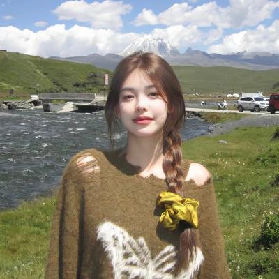 机密行动 海报
